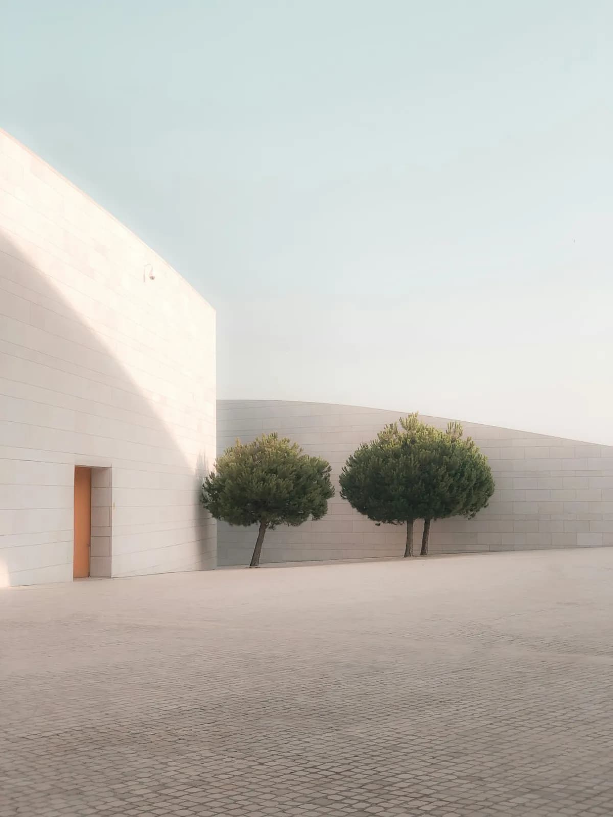 Green trees beside white concrete building