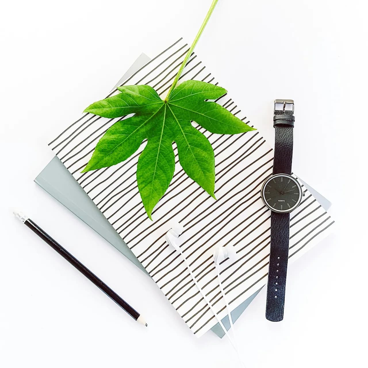 Black round analog watch with black strap beside green leaves